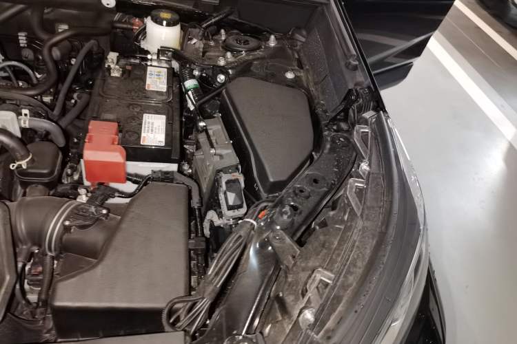 Used Toyota RAV4 2024 2.0L CVT Two-Wheel Drive Urban Edition Engine Bay Left