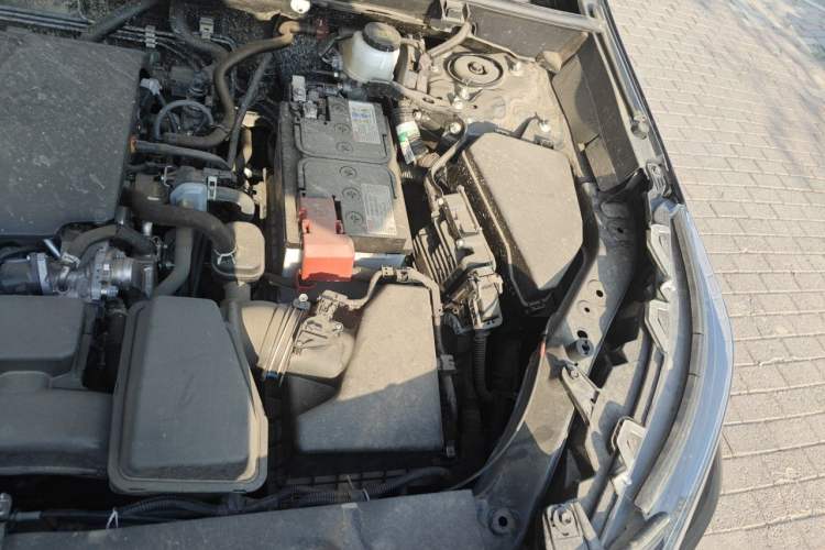 Used Toyota RAV4 2024 2.0L CVT Two-Wheel Drive Urban Edition Engine Bay Left