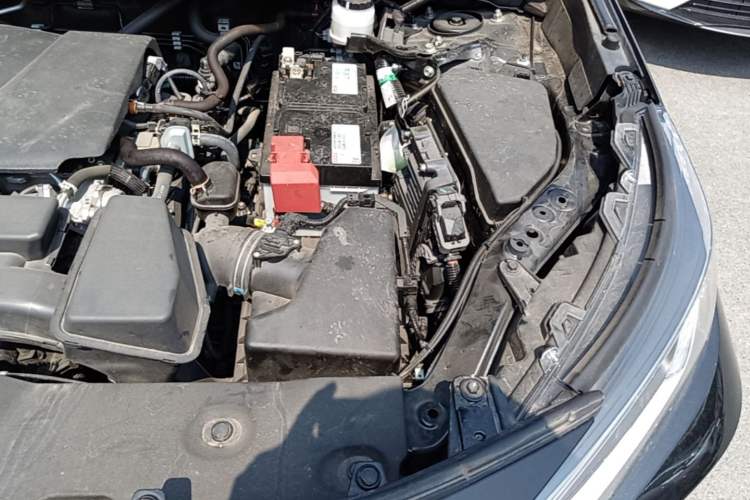 Used Toyota RAV4 2024 2.0L CVT Two-Wheel Drive Urban Edition Engine Bay Left