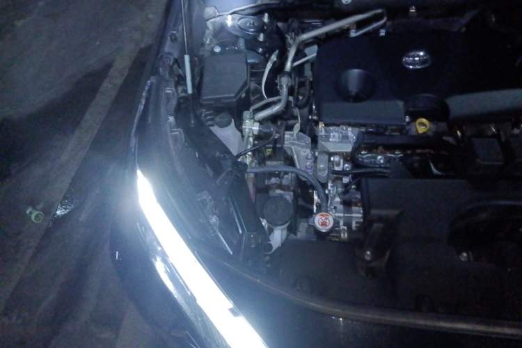 Used Toyota RAV4 2024 2.0L CVT Two-Wheel Drive Fashion Plus Edition Engine Bay Right