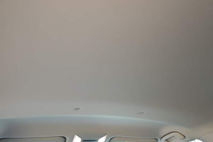 Used Toyota RAV4 2024 2.0L CVT Two-Wheel Drive Urban Edition Headliner