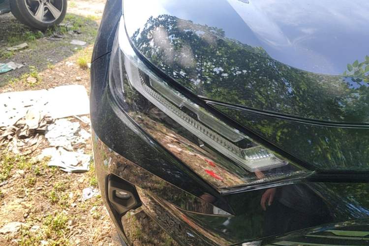 Used Toyota RAV4 2024 2.0L CVT Two-Wheel Drive Fashion Plus Edition Right Front Headlight