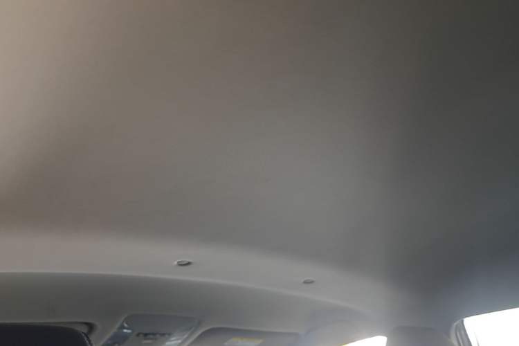 Used Toyota RAV4 2024 2.0L CVT Two-Wheel Drive Urban Edition Headliner