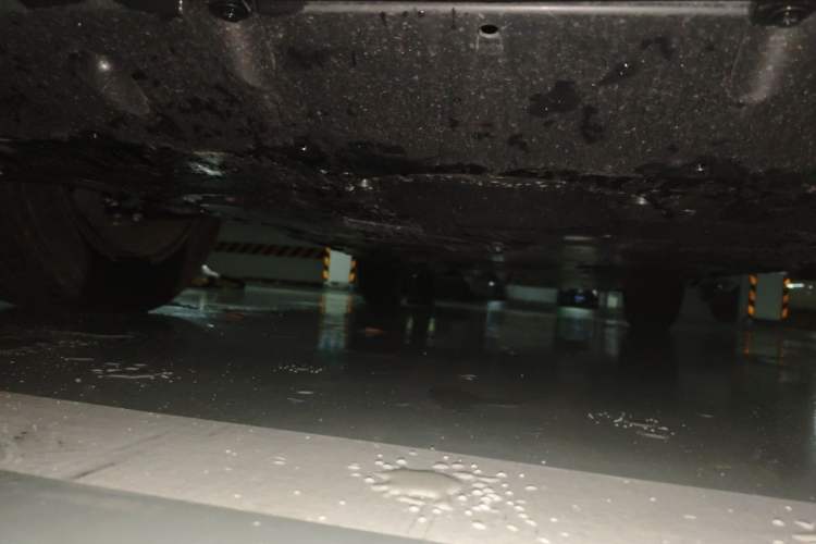 Used Toyota RAV4 2024 2.0L CVT Two-Wheel Drive Fashion Edition Chassis Front