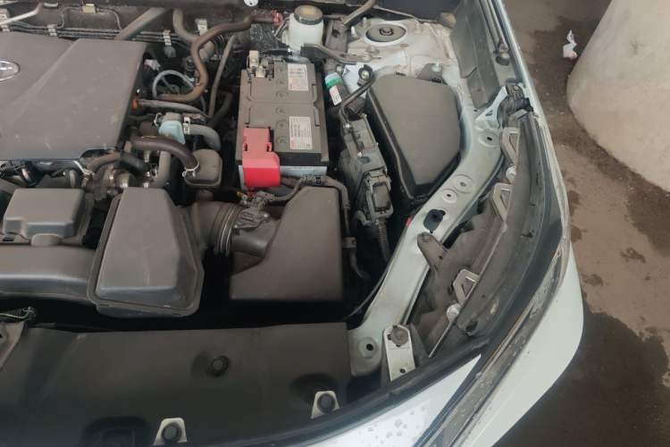 Used Toyota RAV4 2024 2.0L CVT Two-Wheel Drive Urban Edition Engine Bay Left