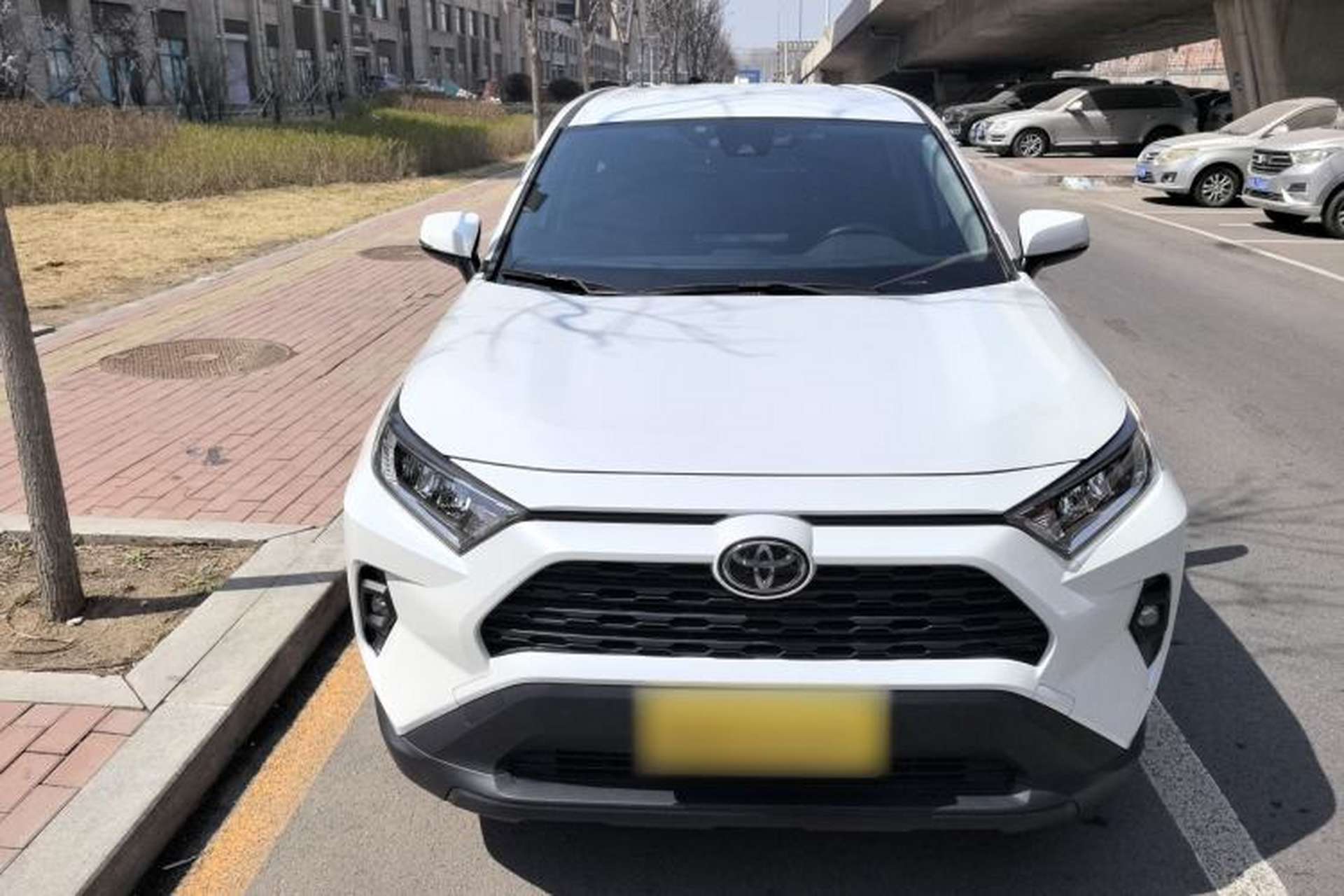 Used Toyota RAV4 2024 2.0L CVT Two-Wheel Drive Urban Edition Exterior 1
