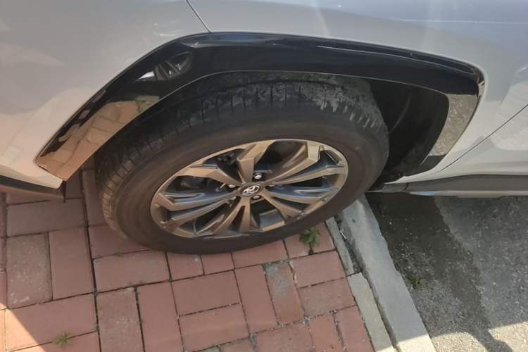 Used Toyota RAV4 2024 2.0L CVT Two-Wheel Drive Fashion Plus Edition Exterior 4