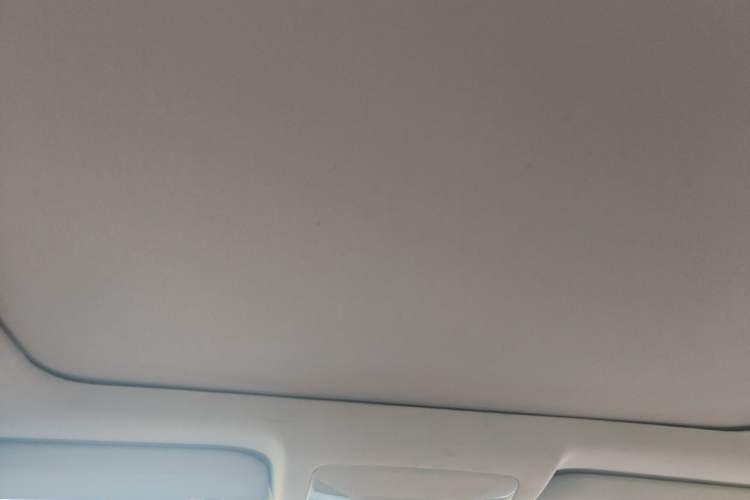 Used Toyota RAV4 2024 2.0L CVT Two-Wheel Drive Fashion Plus Edition Headliner