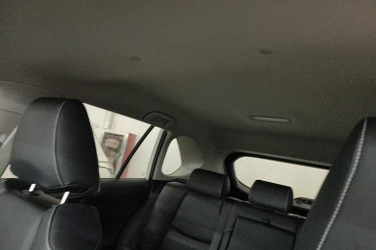 Used Toyota RAV4 2024 2.0L CVT Two-Wheel Drive Urban Edition Headliner