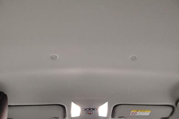 Used Toyota RAV4 2024 2.0L CVT Two-Wheel Drive Urban Edition Headliner