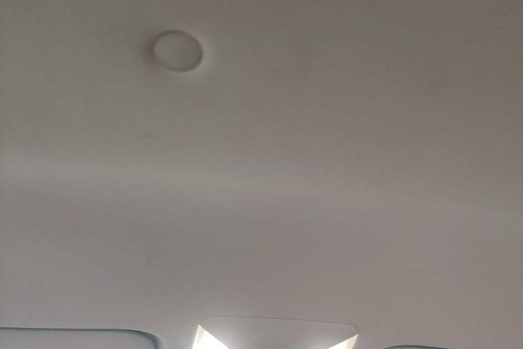 Used Toyota RAV4 2024 2.0L CVT Two-Wheel Drive Urban Edition Headliner