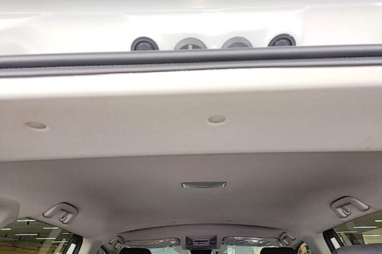 Used Toyota RAV4 2024 2.0L CVT Two-Wheel Drive Urban Edition Headliner