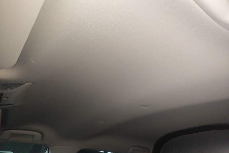 Used Toyota RAV4 2024 2.0L CVT Two-Wheel Drive Urban Edition Headliner