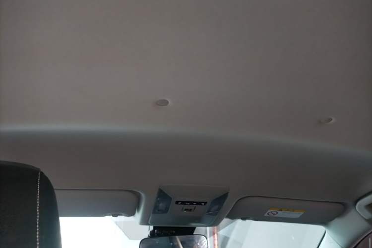 Used Toyota RAV4 2024 2.0L CVT Two-Wheel Drive Urban Edition Headliner