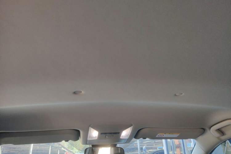 Used Toyota RAV4 2024 2.0L CVT Two-Wheel Drive Urban Edition Headliner