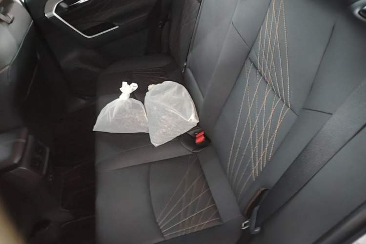 Used Toyota RAV4 2024 2.0L CVT Two-Wheel Drive Fashion Plus Edition Left Rear Seat