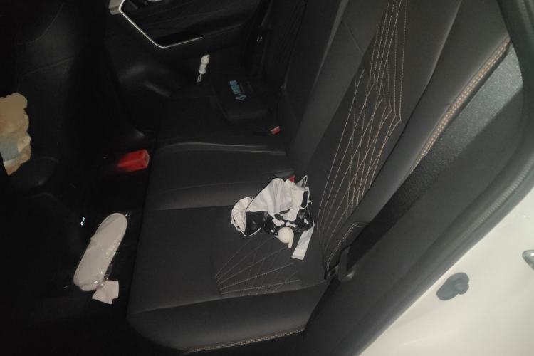 Used Toyota RAV4 2024 2.0L CVT Two-Wheel Drive Fashion Plus Edition Left Rear Seat