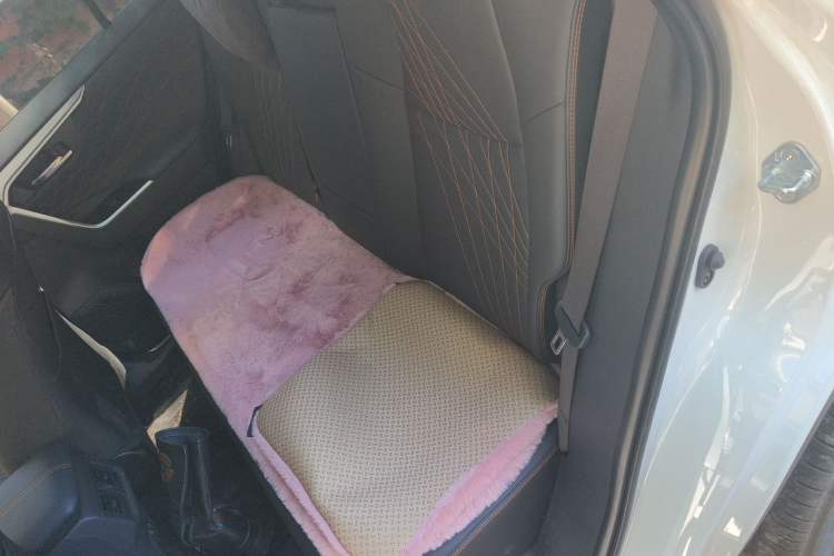 Used Toyota RAV4 2024 2.0L CVT Two-Wheel Drive Fashion Plus Edition Left Rear Seat