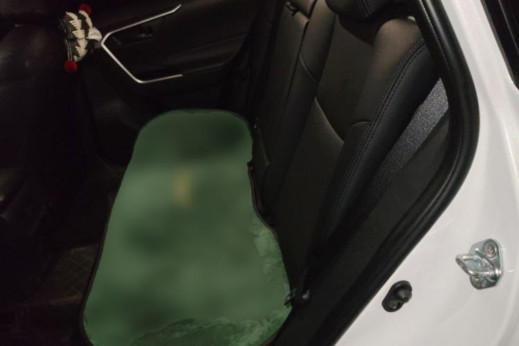 Used Toyota RAV4 2024 2.0L CVT Two-Wheel Drive Urban Edition Left Rear Seat
