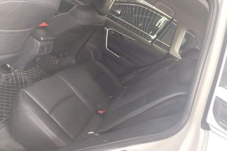 Used Toyota RAV4 2024 2.0L CVT Two-Wheel Drive Urban Edition Left Rear Seat