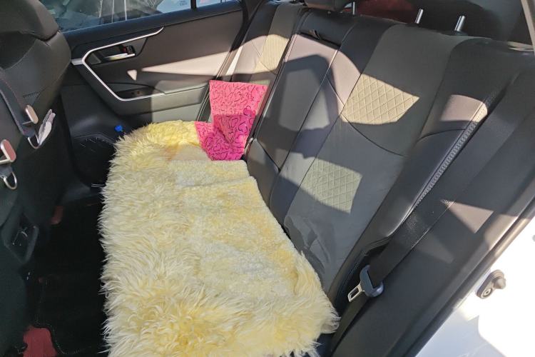 Used Toyota RAV4 2024 2.0L CVT 4x4 Explorer Plus Edition Left Rear Seat