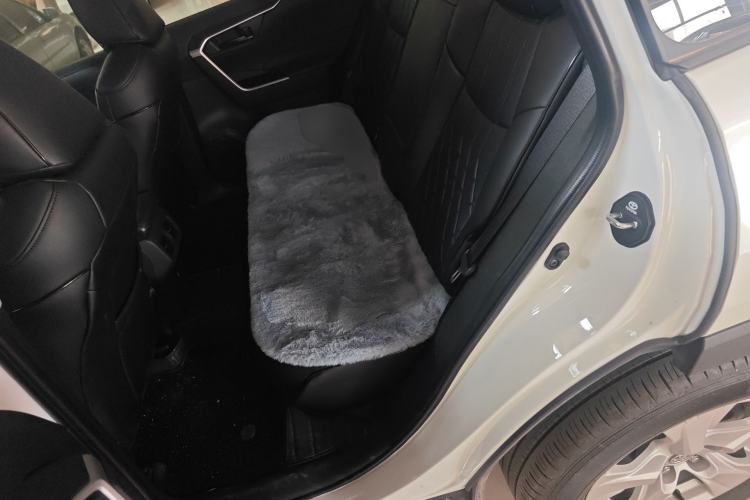 Used Toyota RAV4 2024 2.0L CVT Two-Wheel Drive Urban Edition Left Rear Seat