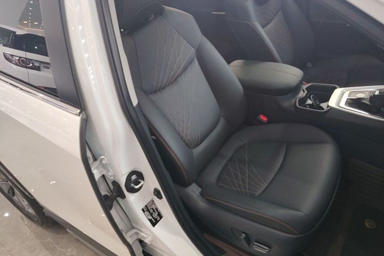 Used Toyota RAV4 2024 2.0L CVT Two-Wheel Drive Fashion Plus Edition Right Front Seat