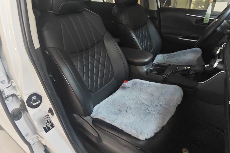 Used Toyota RAV4 2024 2.0L CVT Two-Wheel Drive Urban Edition Right Front Seat