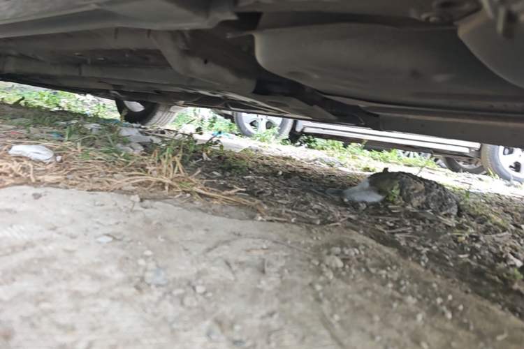 Used Toyota Reiz 2008 2.5S Special Navigation Edition Chassis Rear Left