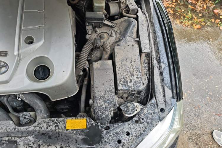 Used Toyota Reiz 2010 2.5V Fengdu Elite Edition Engine Bay Left