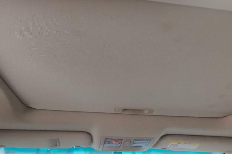Used Toyota Reiz 2010 2.5V Fengdu Elite Edition Headliner