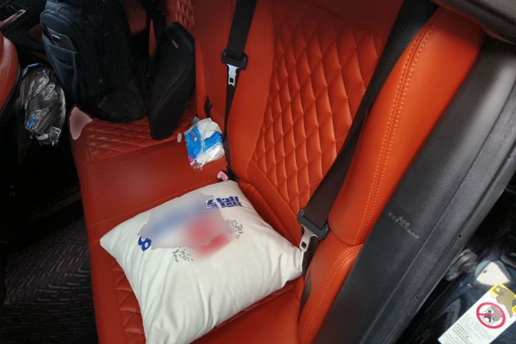 Used Toyota Reiz 2010 2.5S Fengdu Jinghua Edition Left Rear Seat