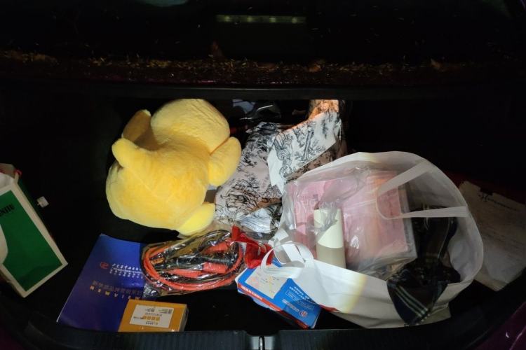 Used Toyota Reiz 2010 2.5V Fengdu Elite Edition Trunk