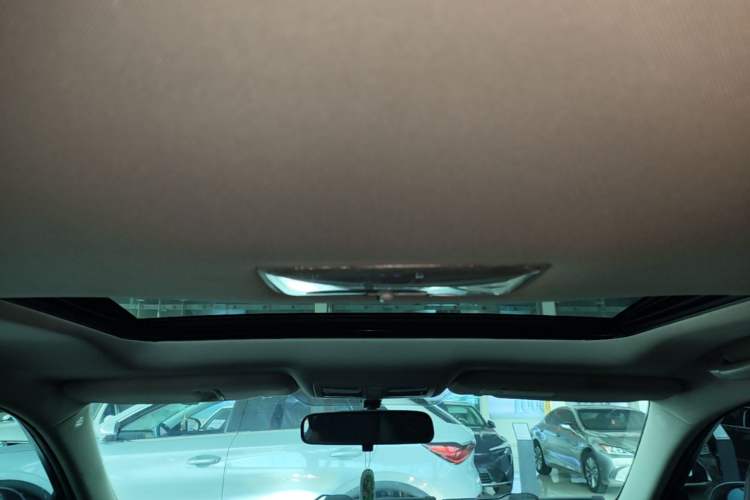 Used Toyota Reiz 2010 2.5S Fashion Elite Edition Headliner