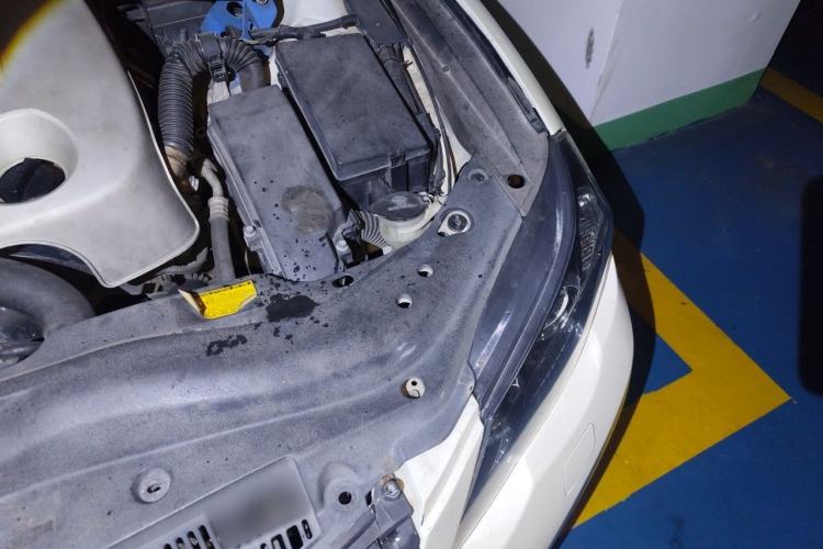 Used Toyota Reiz 2010 2.5S Fashion Elite Edition Engine Bay Left