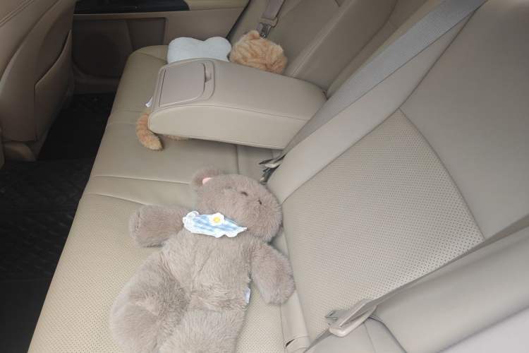 Used Toyota Reiz 2010 2.5S Fengdu Jinghua Edition Left Rear Seat