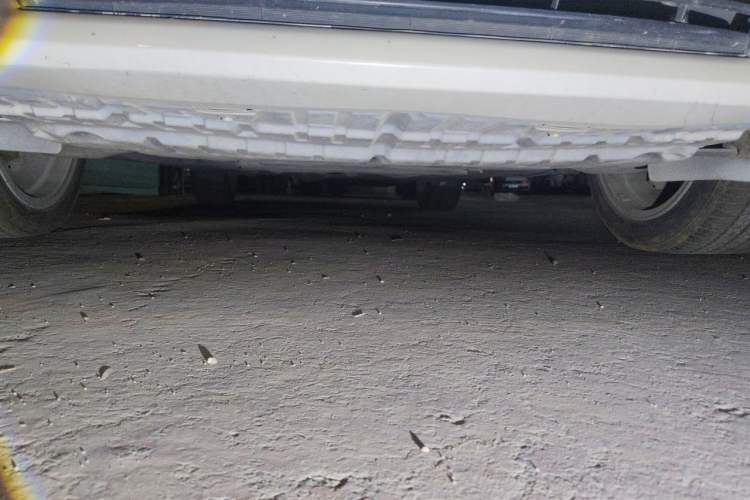 Used Toyota Reiz 2012 2.5V Fengdu Elite Stylish Edition Chassis Front