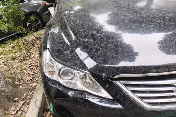 Used Toyota Reiz 2013 2.5S Elite Edition Right Front Headlight