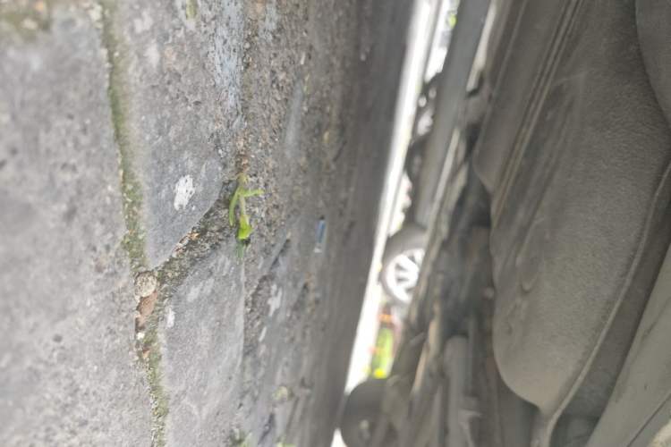 Used Toyota Reiz 2013 2.5S Elite Edition Chassis Rear Right