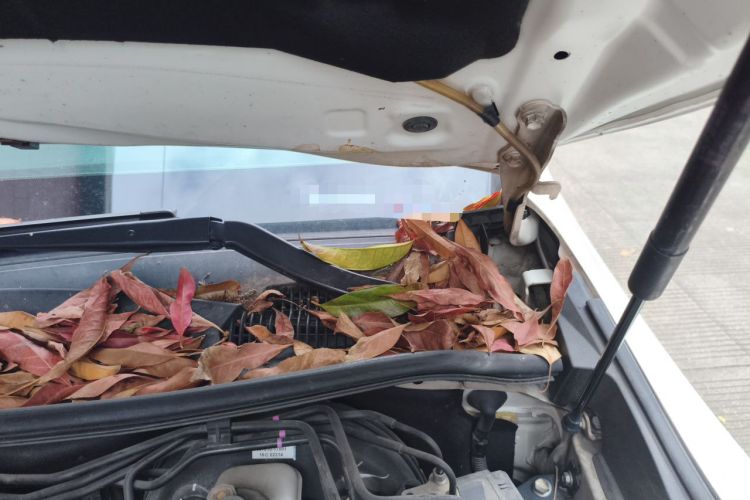 Used Toyota Reiz 2013 2.5V Shangrui Edition Engine Bay Left