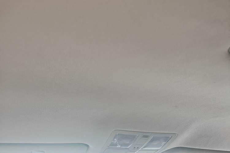 Used Toyota Reiz 2013 2.5S Elite Edition Headliner