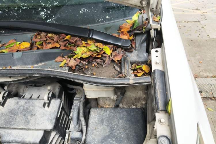 Used Toyota SIENNA  Engine Bay Left