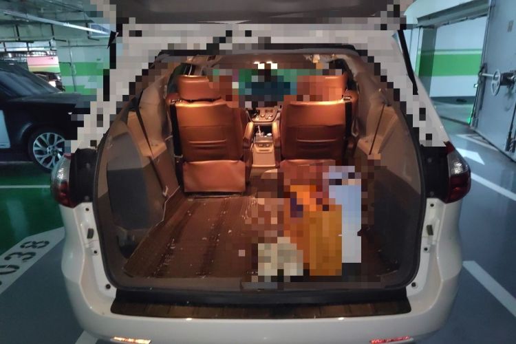 Used Toyota SIENNA  Trunk