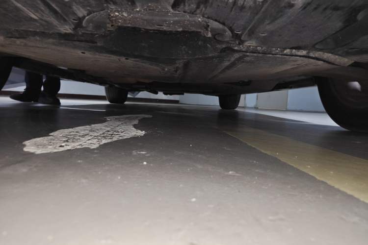Used Toyota SIENNA 2021 2.5L Hybrid Platinum Edition Chassis Front