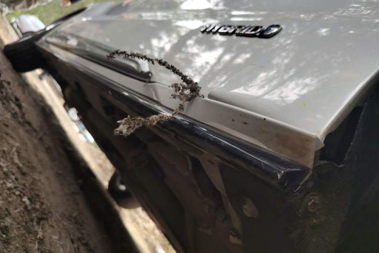 Used Toyota SIENNA 2021 2.5L Hybrid Platinum Edition Chassis Front Right
