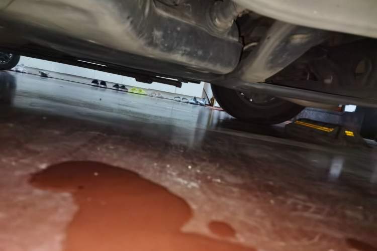 Used Toyota SIENNA 2021 2.5L Hybrid Comfort Edition Chassis Rear Left