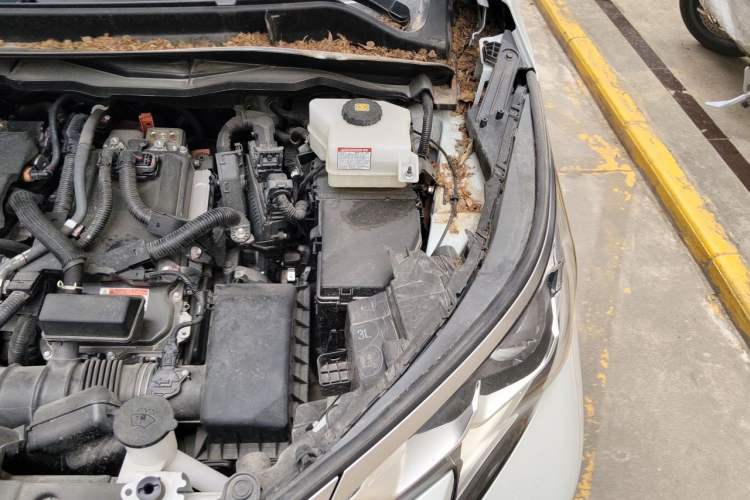 Used Toyota SIENNA 2023 2.5L Hybrid Platinum Edition Engine Bay Left