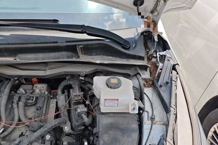 Used Toyota SIENNA 2023 2.5L Hybrid Comfort Edition Engine Bay Left