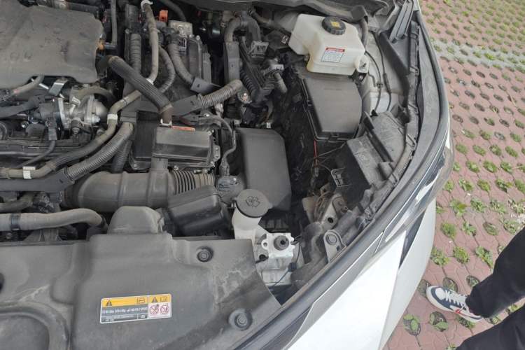 Used Toyota SIENNA 2023 2.5L Hybrid Platinum Edition Engine Bay Left