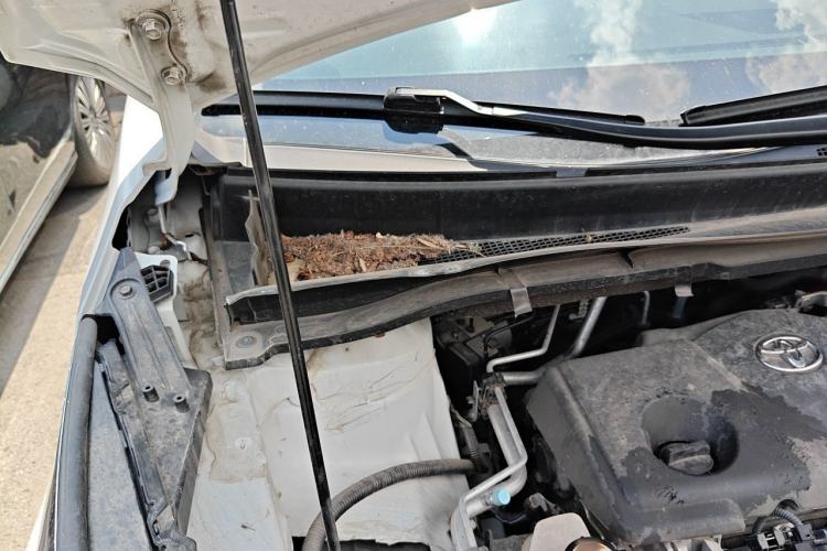 Used Toyota SIENNA 2023 2.5L Hybrid Comfort Edition Engine Bay Right